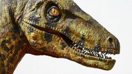 В Канаде обнаружен древний крылатый динозавр