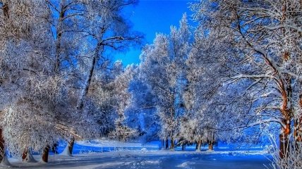Со 2 декабря в Украине уже будет снег 