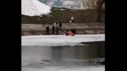 Женщина провалилась под лед, пытаясь вытащить из канала свою собаку: видео происшествия в Киеве