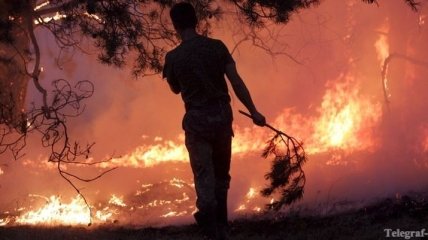 Лесными пожарами в Херсонской области охвачено более 120 га