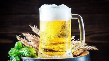 День пива 2020: интересные факты о празднике