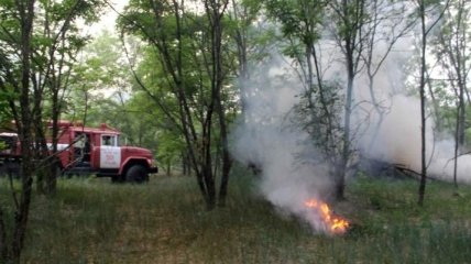 ГСЧС: Версия о поджоге леса в зоне отчуждения ЧАЭС пока не подтвердилась 