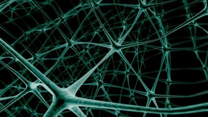 Ученые нашли неизвестные нейроны