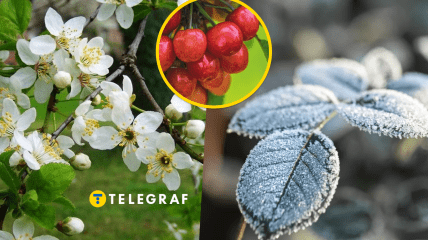 В регионе и дальше ожидаются небольшие "минусы"