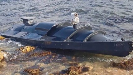 Ціна одного такого морського дрона 250 тисяч доларів