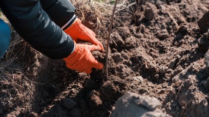Перекопування городу – важлива частина підготовки землі до зими