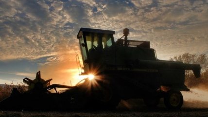 Акції українських агрохолдингів падають 