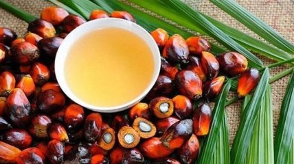 Медики назвали еще одна опасность пальмового масла