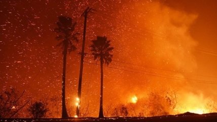 Лесные пожары в Калифорнии: эвакуировали 180 тысяч людей (Видео)