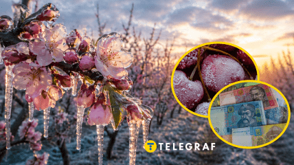 Весняні холоди призвели до стрибка вартості