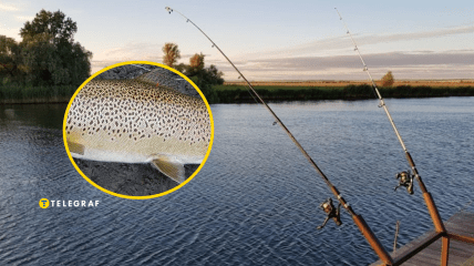 Рыбалка в Ивано-Франковске поймал форель