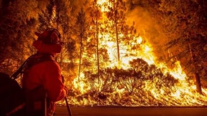 Лесной пожар в Лос-Анджелесе: массово эвакуируют людей