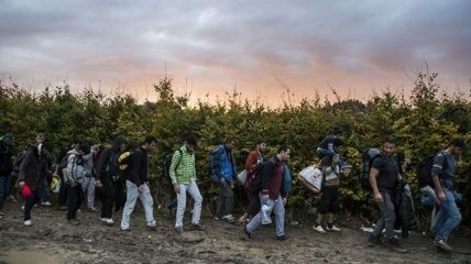 Референдум в Венгрии по квотам для беженцев провалился
