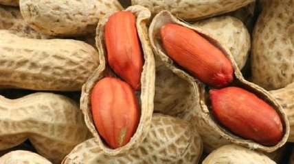 Ученые создали гипоаллергенный арахис