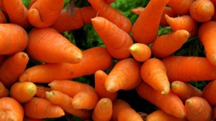 Как очистить свой организм с помощью моркови?