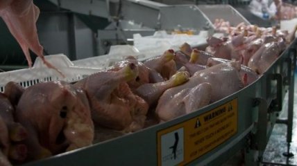 Украина в 2012 году увеличила импорт мяса птицы