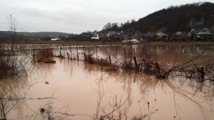 На Закарпатье прорвало дамбу: подтоплены 5 сел