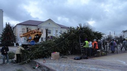 В центре Борисполя упала новогодняя елка