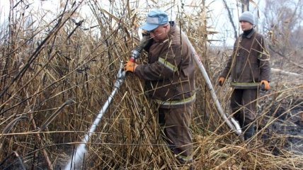 На Полтавщине огнеборцы продолжают борьбу с торфяным пожаром