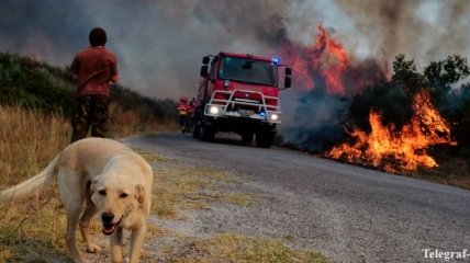 В Хорватии удалось взять под контроль пожары