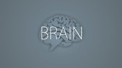 У женщин мозг меньше чем у мужчин
