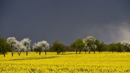 Погода в Украине 6 мая: похолодание, без осадков