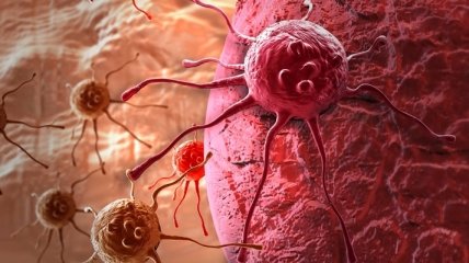 Ученые объяснили, почему рак быстро развивается