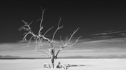 Чому не можна зберігати вдома похмурі картини