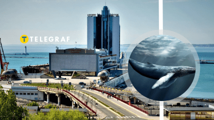 Что интересно в Одессе