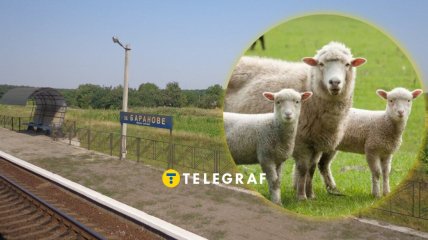 Село Бараново