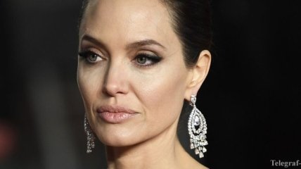 Анджелина Джоли хочет показать личный дневник на суде