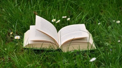Ответ на вопрос "Зачем вообще читать?": привычки, которые развиваются благодаря чтению книг