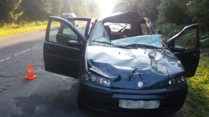 Водитель Fiat погиб при столкновении с лосем (Фото)
