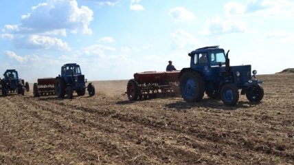 Сельхозпроизводство в Украине сократилось на 4,7%