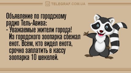 Встречай лето с улыбкой: утренние анекдоты 1 июня 