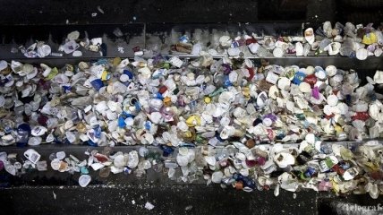 В Швейцарии мужчине грозит тюрьма за неправильно выброшенный мусор