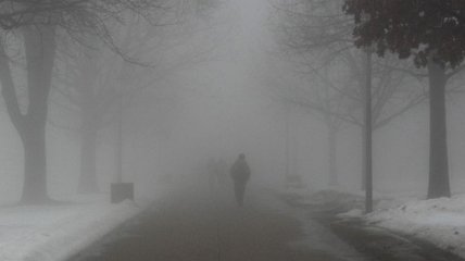 Прогноз погоды в Украине на 21 ноября: порывистый ветер и туман