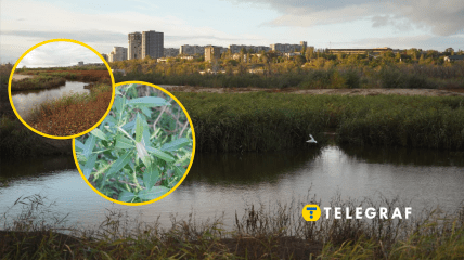 Река Сухая Московка в Запорожье