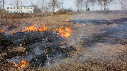 Украинцев предупреждают о высокой пожарной опасности