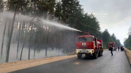Из-за обстрелов оккупантов загорелся лес на Луганщине