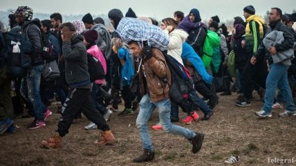 Количество беженцев, которые ищут приют в Европе, увеличилось вдвое
