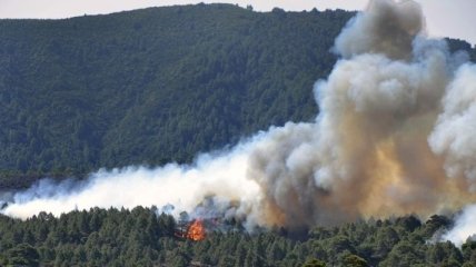Аномальная жара привела к пожарам в Италии, десятки тысяч людей