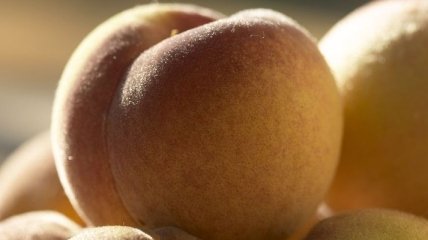 Все о невероятной пользе персикового масла