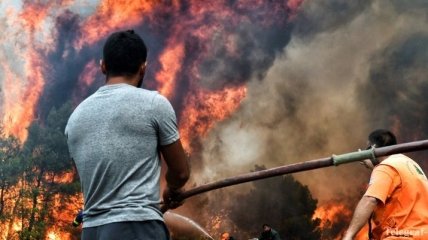 Огненная стихия: в Греции продолжают бороться с лесными пожарами (Фото)