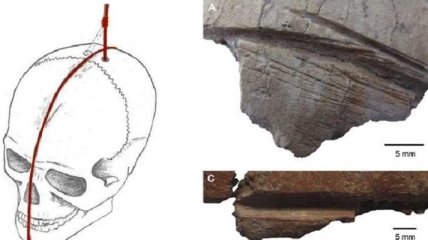 Найдены свидетельства неолитического культа черепов