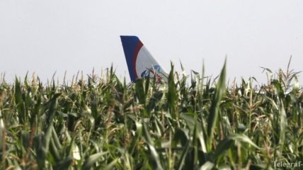Пилот рассказал о посадке самолета в кукурузном поле