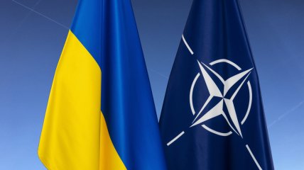 Україні знову не дадуть членства в НАТО