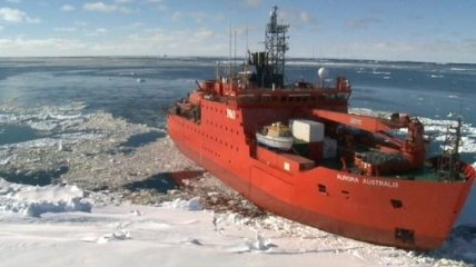 Австралийцы хотят построить ледокол для изучения Антарктики