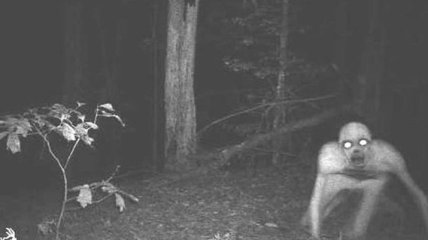 Самые жуткие кадры с охотничьих камер ночного видения (Фото)