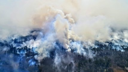 Глава Гослесагентства о ситуации в Житомирской области: Осталось два пожара